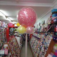3ft Clear Balloon with Insert