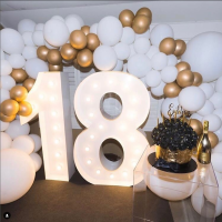 18 Light Up Numbers