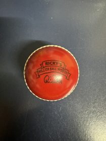 Cricket Ball – Rexona, Ricky Ponting Million Ball Mission