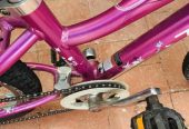 Trek MT60 16” / 400mm kids bicycle girl with gears