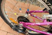 Trek MT60 16” / 400mm kids bicycle girl with gears