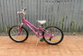 Trek MT60 16” / 400mm kids bicycle girl with gears