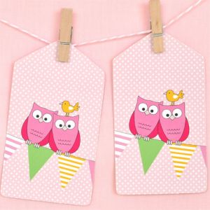 OWL PINK GIFT TAGS